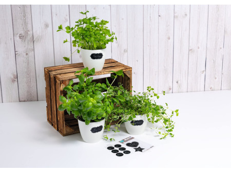 HERMA Etiquettes pour tableau HOME feeling 'cercles'