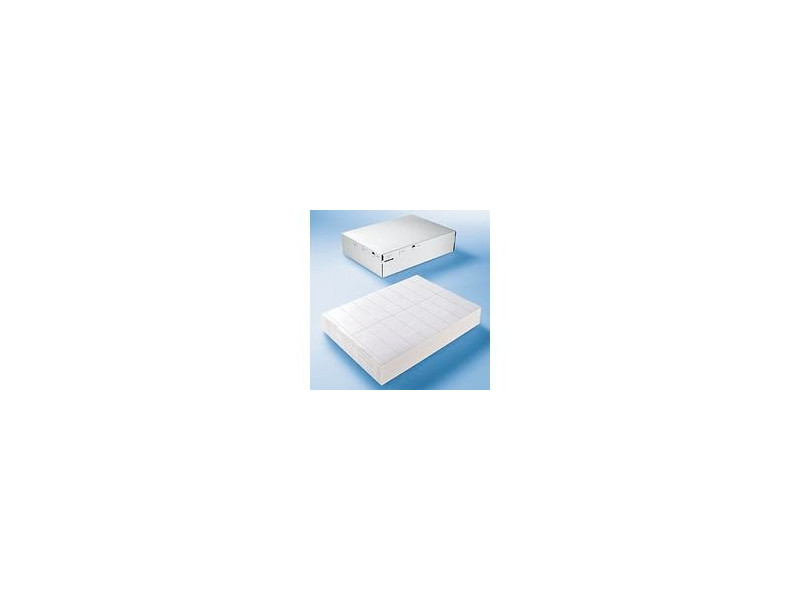 HERMA Etiquette universelle DATAPRINT, 203 x 297 mm, blanc