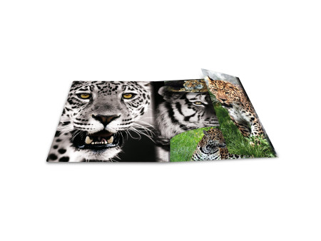 HERMA Chemise à élastique 'Leopard', transparent, en PP,