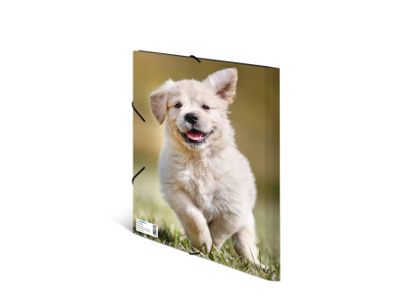 HERMA Chemise élastique 'chiens', transparent, en PP, A4,