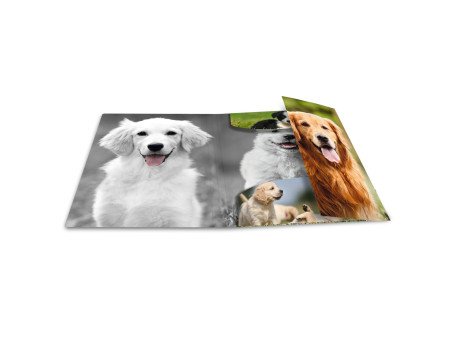 HERMA Chemise élastique 'chiens', transparent, en PP, A4,
