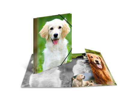 HERMA Chemise élastique 'chiens', transparent, en PP, A4,