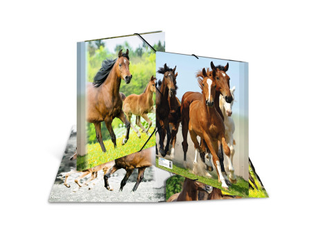 HERMA Chemise élastique 'chevaux', transparent, en PP, A4