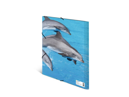 HERMA Chemise élastique 'dauphin', transparent, en PP, A4