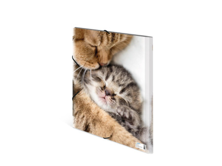 HERMA chemise élastique 'chats', en PP, A3