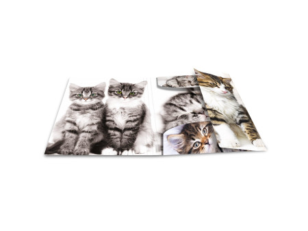 HERMA chemise élastique 'chats', en PP, A3