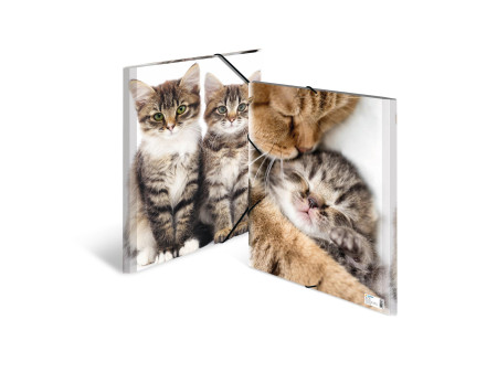 HERMA chemise élastique 'chats', en PP, A3