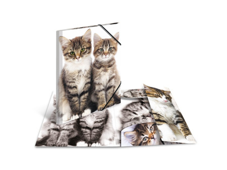 HERMA chemise élastique 'chats', en PP, A3