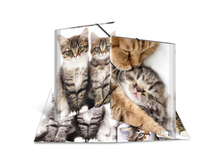 HERMA chemise élastique 'chats', en PP, A3