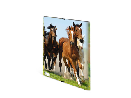 HERMA chemise élastique 'chevaux', en PP, A3,