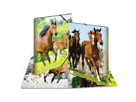 HERMA chemise élastique 'chevaux', en PP, A3,