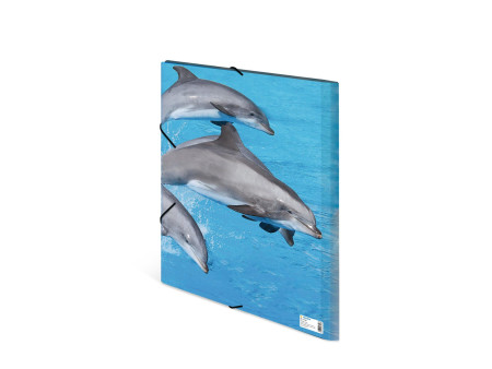 HERMA chemise élastique 'dauphin', transparent, en PP, A3,