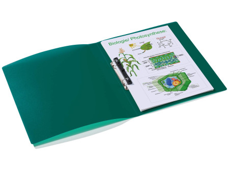 HERMA Classeur à anneaux, A4, mécanisme à 2 anneaux, vert
