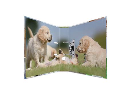 HERMA Classeur à levier à motifs 'Animals', A4, chiens