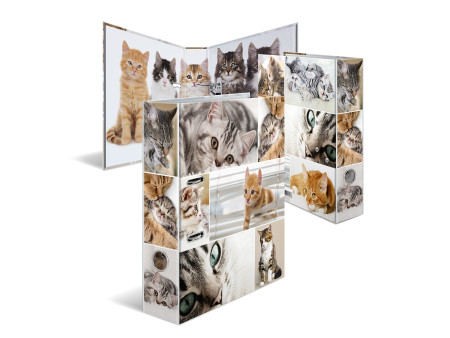 HERMA Classeur à levier à motifs 'Animals', A4, chats