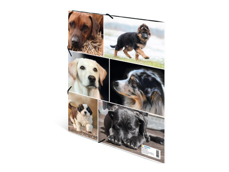 HERMA Chemise à élastiques 'chiens', en carton,