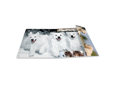 HERMA Chemise à élastiques 'chiens', en carton,