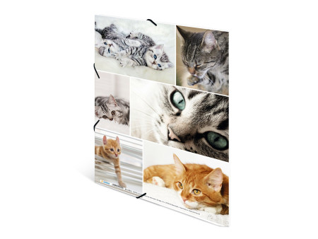 HERMA Chemise à élastiques 'chats', en carton,