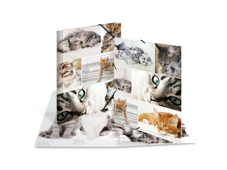 HERMA Chemise à élastiques 'chats', en carton,