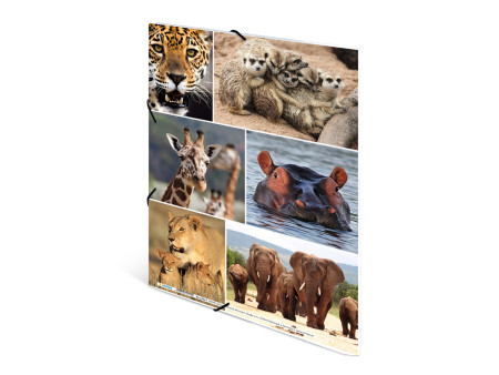 HERMA Chemise à élastiques 'animaux d'afrique', en carton,