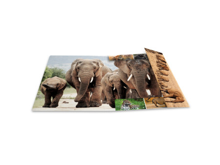 HERMA Chemise à élastiques 'animaux d'afrique', en carton,
