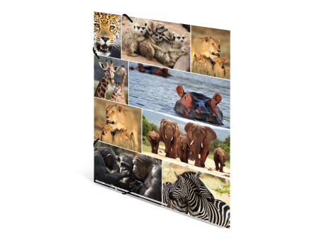 HERMA Chemise à élastiques 'animaux d'Afrique', carton, A3