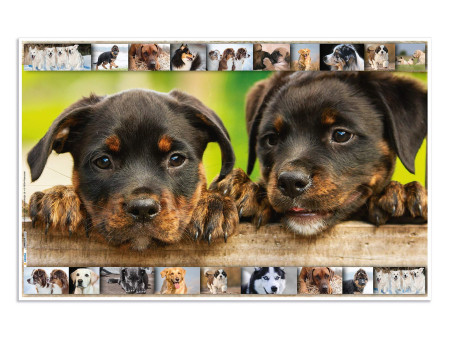 HERMA Sous-main 'Chiens', (L)550 x (H)350 mm