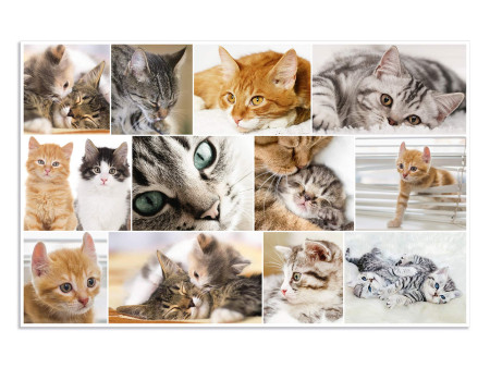 HERMA Sous-main 'Chats', (L)550 x (H)350 mm
