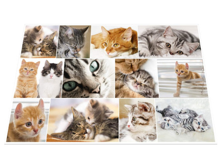 HERMA Sous-main 'Chats', (L)550 x (H)350 mm
