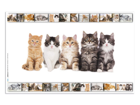 HERMA Sous-main 'Chats', (L)550 x (H)350 mm