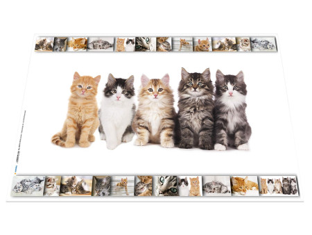 HERMA Sous-main 'Chats', (L)550 x (H)350 mm