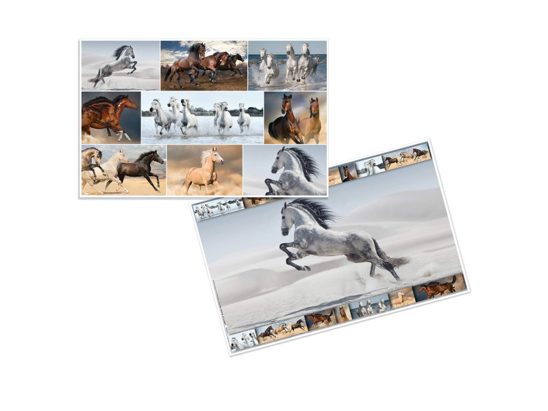 HERMA Sous-main 'Chevaux', (L)550 x (H)350 mm