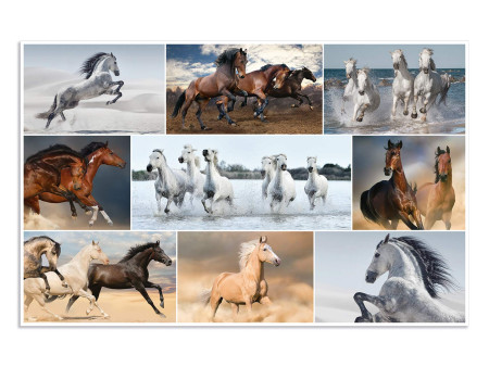 HERMA Sous-main 'Chevaux', (L)550 x (H)350 mm