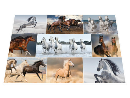HERMA Sous-main 'Chevaux', (L)550 x (H)350 mm