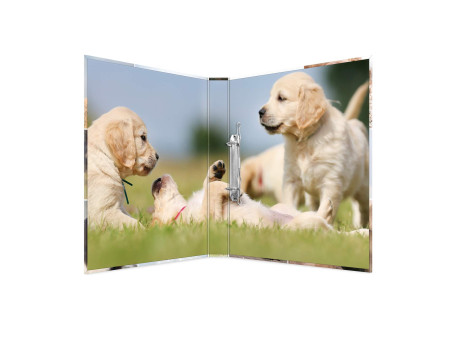 HERMA Classeur à anneaux 'Animals' - chiens, A4, mécanisme à
