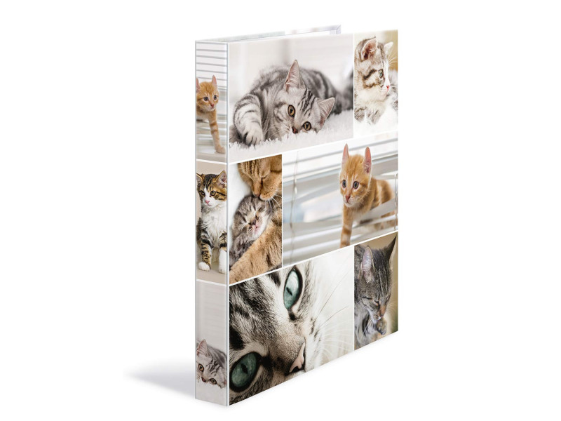 HERMA Classeur à anneaux 'Animals' - chats, A4, mécanisme à
