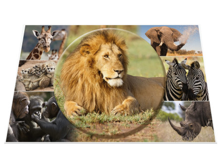 HERMA Sous-main 'Animaux d'Afrique', (L)550 x (H)350 mm