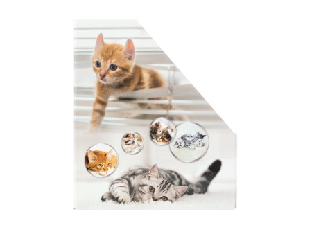 HERMA Porte-revue 'Chats', A4, carton, (L)85 mm