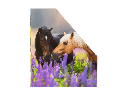 HERMA Porte-revue 'Pré à chevaux', A4, carton, (L)85 mm