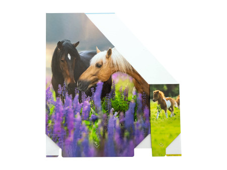 HERMA Porte-revue 'Pré à chevaux', A4, carton, (L)85 mm