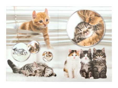 HERMA Corbeille à papier 'Chats', carton