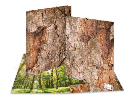 HERMA Assortiment de chemises à élastiques 'Nature', A3