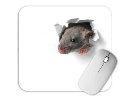 RNK Verlag Bloc tapis de souris 'Souriceau', 240 x 220 mm