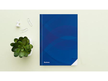 RNK Verlag Cahier 'Business bleu', A4, quadrillé