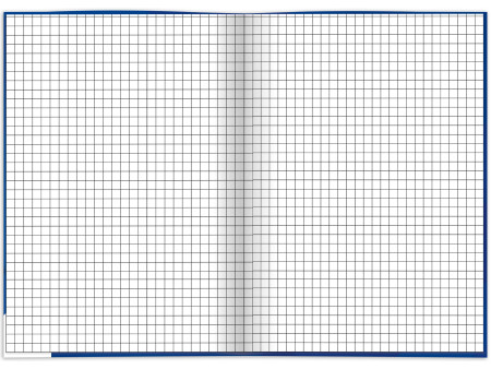 RNK Verlag Cahier 'Business bleu', A5, quadrillé