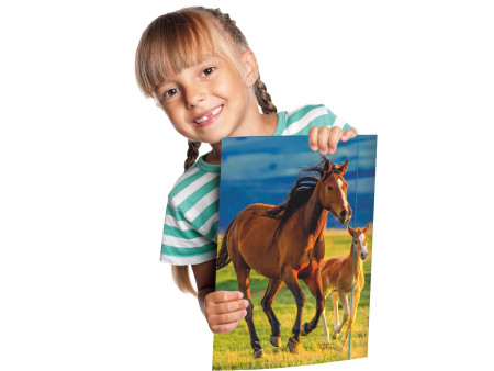RNK Verlag Carton à dessin 'Free Horses', A3