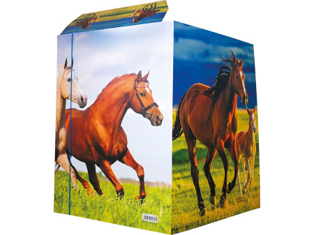 RNK Verlag Carton à dessin 'Free Horses', A3
