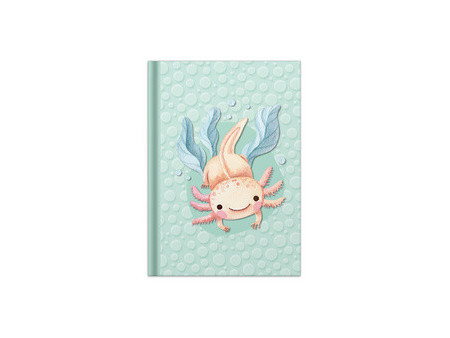 RNK Verlag Carnet de notes 'Colibri', A5, 96 feuilles