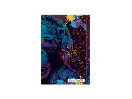 RNK Verlag Carnet de notes 'Neon', A4, 96 feuilles, uni
