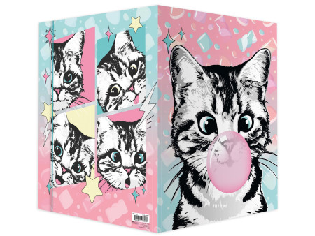 RNK Verlag Carton à dessin 'Sweet Cat', carton, A3